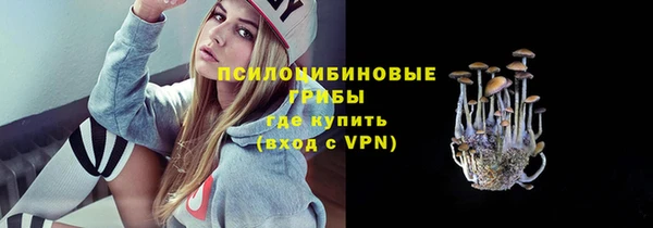 прущая мука Краснослободск
