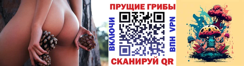 Галлюциногенные грибы MAGIC MUSHROOMS Северодвинск