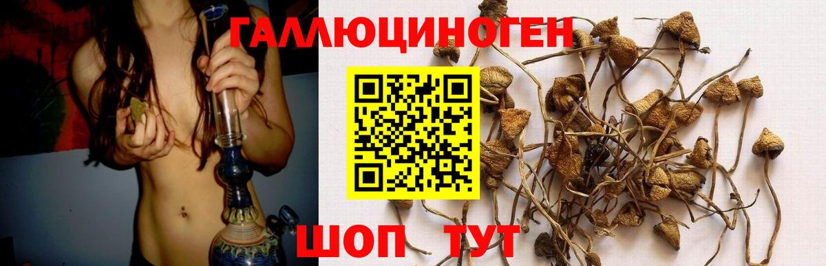 Псилоцибиновые грибы Psilocybine cubensis  Вход с VPN  Северодвинск 