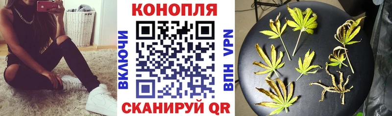 Каннабис семена  дарнет шоп  Северодвинск 